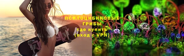 ГАЛЛЮЦИНОГЕННЫЕ ГРИБЫ Кукмор