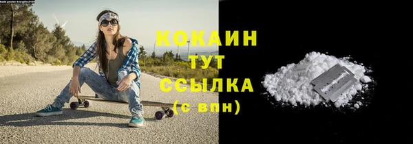 твердый Корсаков