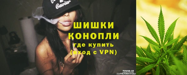 apvp Коряжма