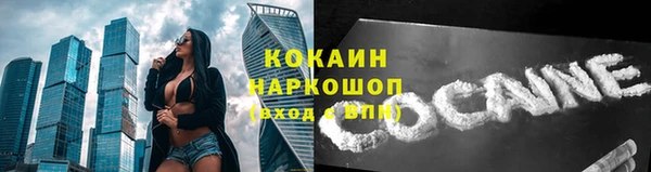 ГАЛЛЮЦИНОГЕННЫЕ ГРИБЫ Кукмор