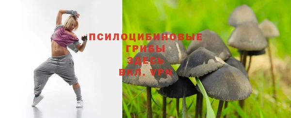 ГАЛЛЮЦИНОГЕННЫЕ ГРИБЫ Кукмор