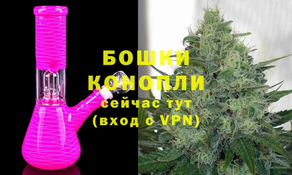 твердый Корсаков
