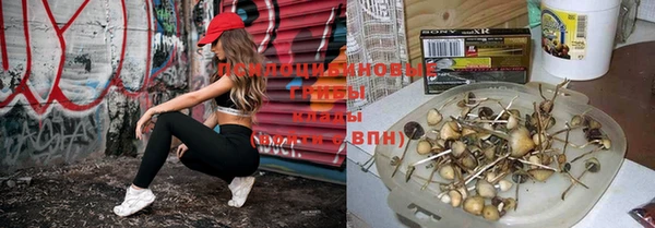 твердый Корсаков