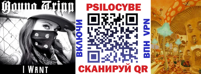 Псилоцибиновые грибы Psilocybine cubensis  Купить закладки  Балей 