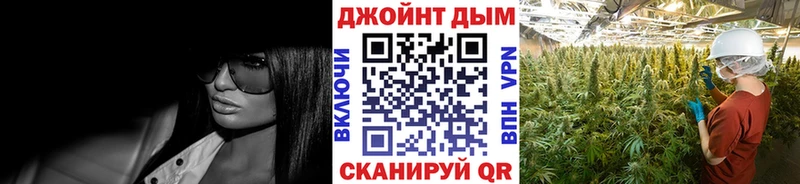 Конопля индика  Купить закладки  Балей 
